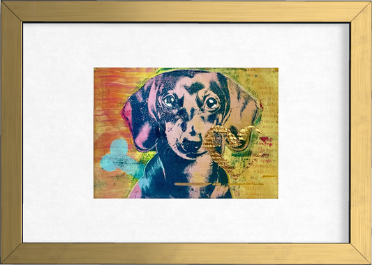 Dachshund 1.0